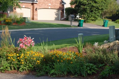 Easter lilies blooming in Eagn