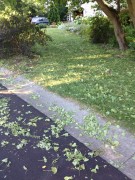 Yard full of debris after hail