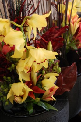 Orchid and Lily Centerpiece