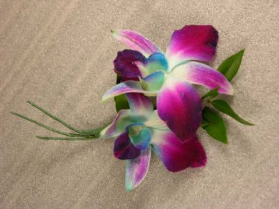 Corsage - orchid