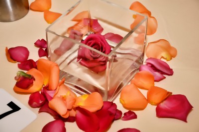 Glass cube, floating rose and rose petals