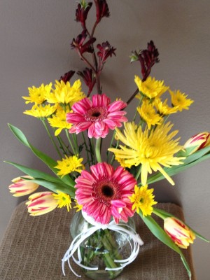 Gerbera, tulip, spider mum, kangaroo toes