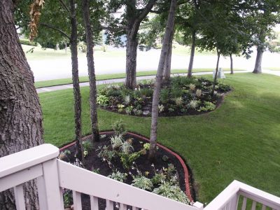 View from the deck - after planting