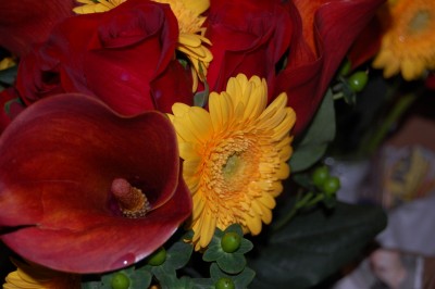 Bouquet, closeup