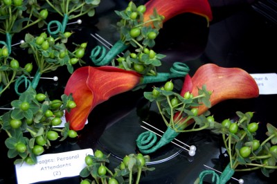 Calla lilies and Hypericum