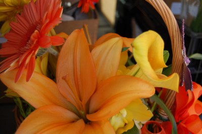 Flower girl basket