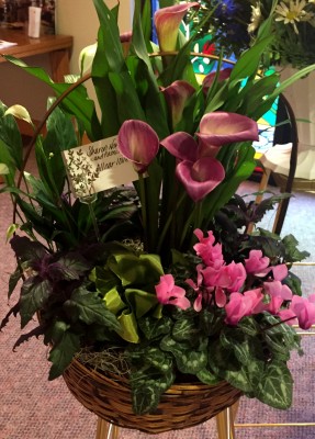 Calla lily, cyclamen, Peace plant (Spathiphyllum) basket