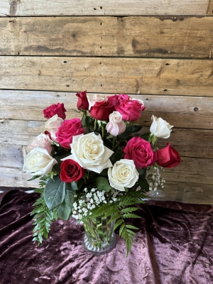 2 Dozen Roses - Mixed