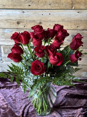 2 Dozen Red Roses