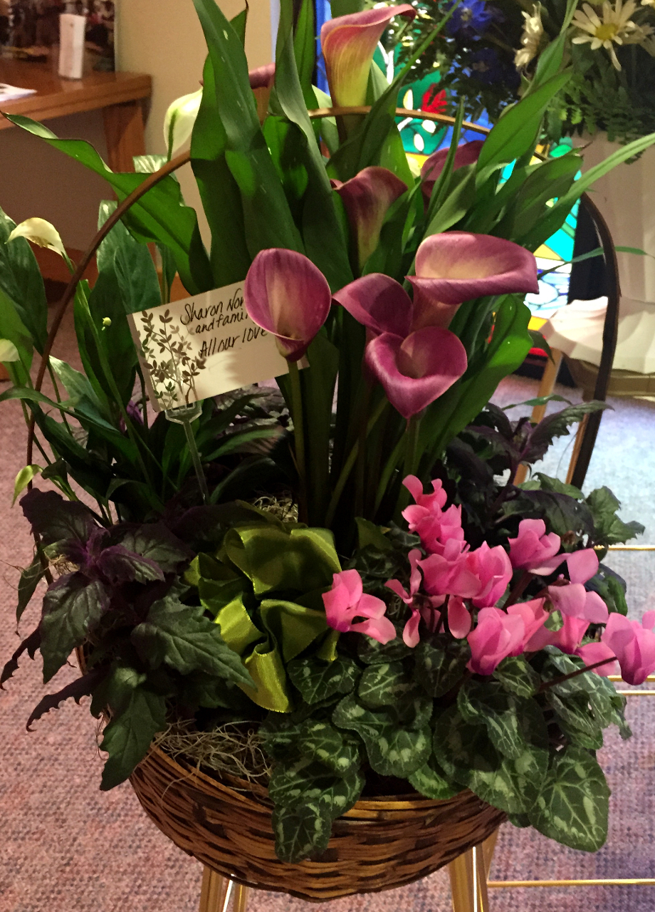Calla Lily Cyclamen Peace Plant Spathiphyllum Basket Plants And Baskets Showcase Design N Bloom