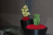 Arrangements near the elevators