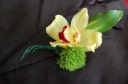 Groom's Boutonnaire