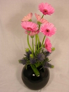 Gerberas and Sea Holly