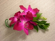 Corsage - Orchid