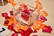 Glass cube, floating rose and rose petals