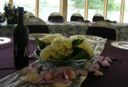 Low - hydrangea and rose petals