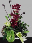 Leucadendron, anthurium, fern frond, orchids