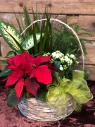 Holiday basket - poinsettia ($60)