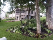 View from the sidewalk after planting