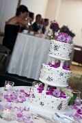 Cake Decor (Julie and Steve)