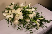 Renee's Bridal Bouquet - cascading calla lilies (May) - $220