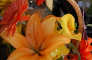 Flower girl basket