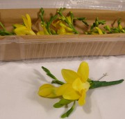 Yellow orchid and freesia boutonnieres