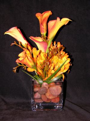 Calla lilies in square container