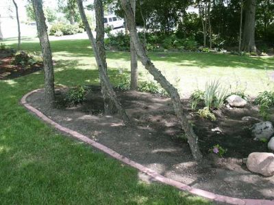 Deck Planting In Progress